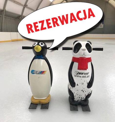 Rezerwacja lodowiska